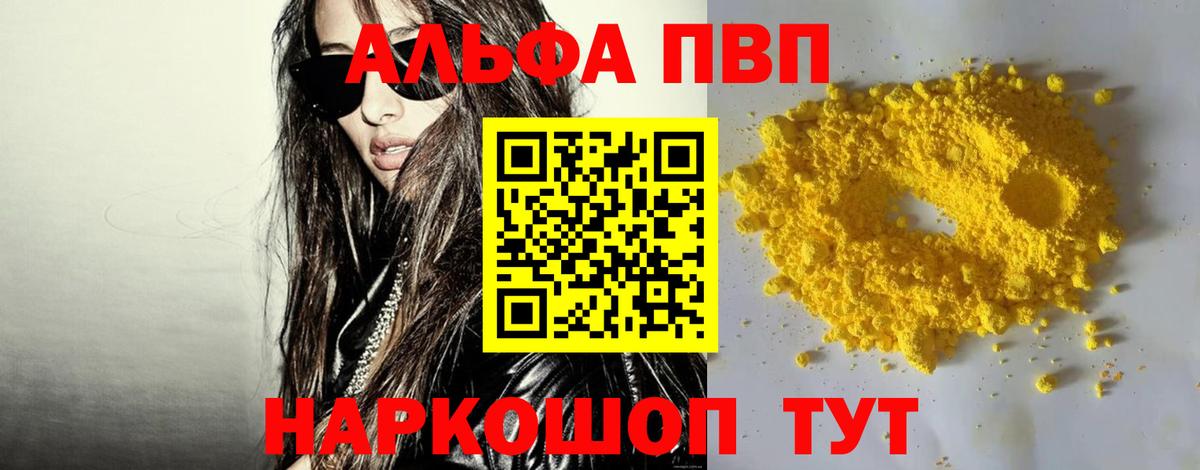 A PVP СК КРИС Старая Русса