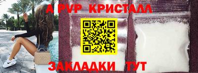 твердый Кингисепп