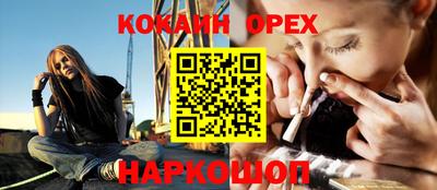 твердый Кингисепп