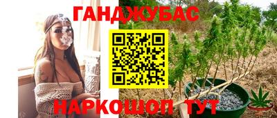эйфоретик Кинель