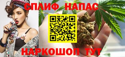 твердый Кингисепп