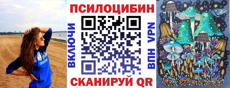 Псилоцибиновые грибы Psilocybine cubensis Старая Русса