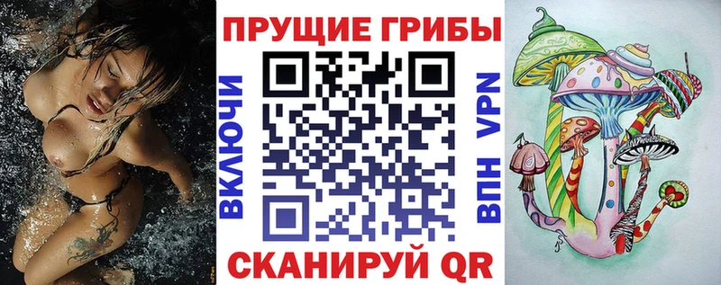 Галлюциногенные грибы MAGIC MUSHROOMS  KRAKEN ТОР  Старая Русса  купить закладку 