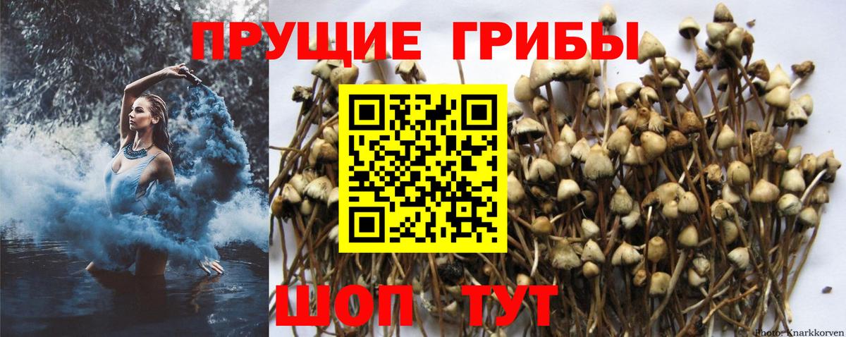 Гарик  МДМА  Старая Русса  МЕФ  Альфа ПВП  Ляпка  Вход с VPN  Марки ЛСД  Амфетамин  Cocaine 