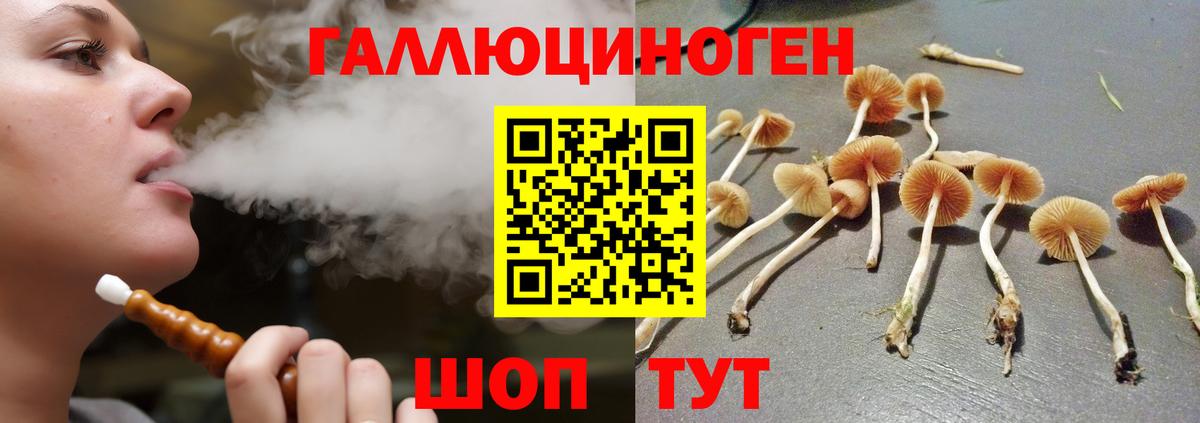 Псилоцибиновые грибы прущие грибы  Вход с VPN  Старая Русса  Галлюциногенные грибы GOLDEN TEACHER 